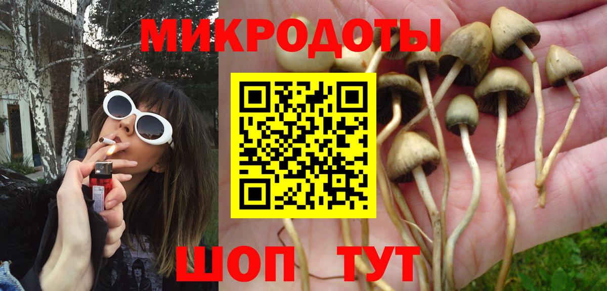 Псилоцибиновые грибы прущие грибы  Вход с VPN  Людиново 