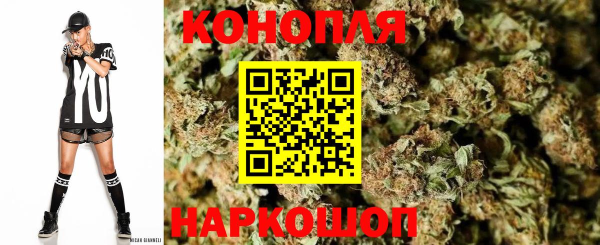 Людиново  Бошки марихуана план  Вход с VPN  Шишки марихуана THC 21%  Канабис планчик 